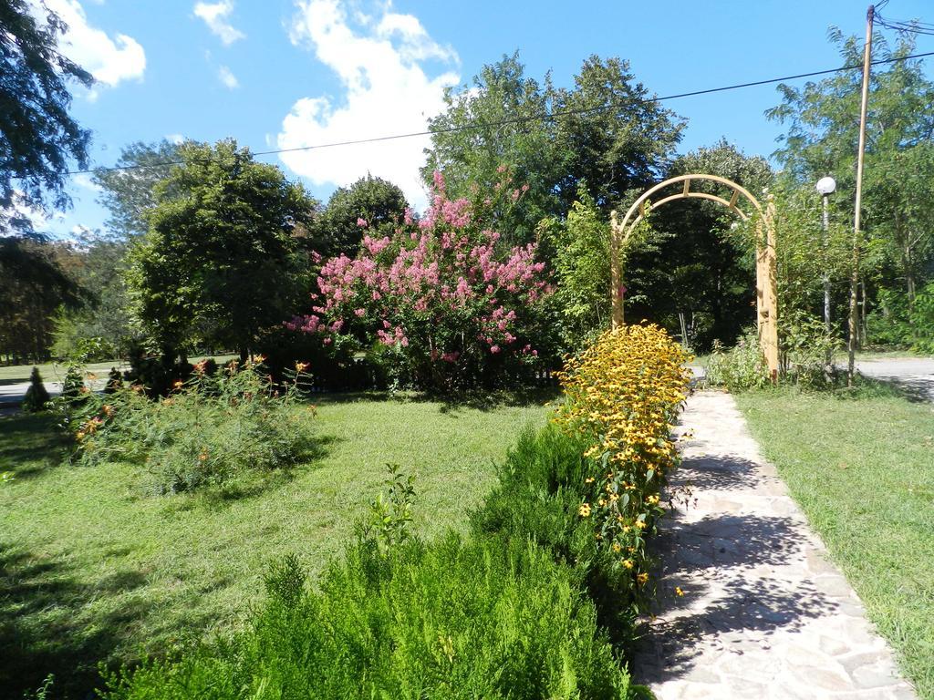 Vila Saltanat 41 Warna Pokój zdjęcie